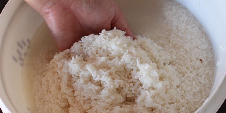 É bom lavar o arroz antes de cozinhar? Descubra o que diz a Ciência