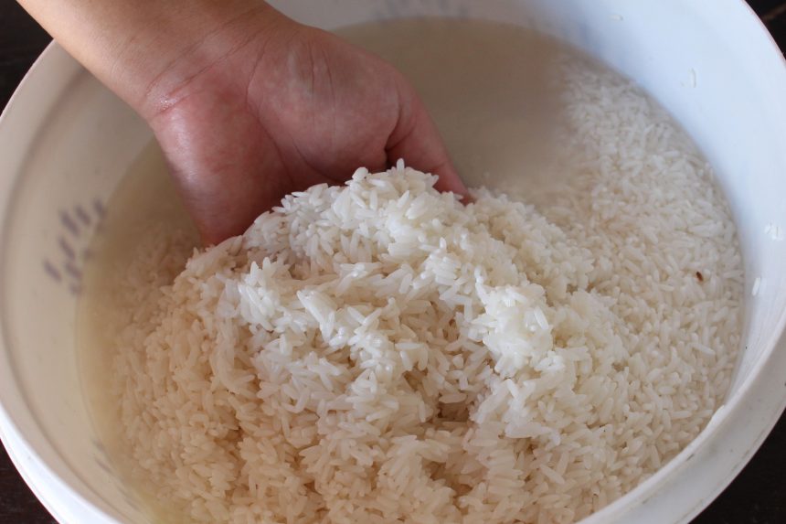 É bom lavar o arroz antes de cozinhar? Descubra o que diz a Ciência